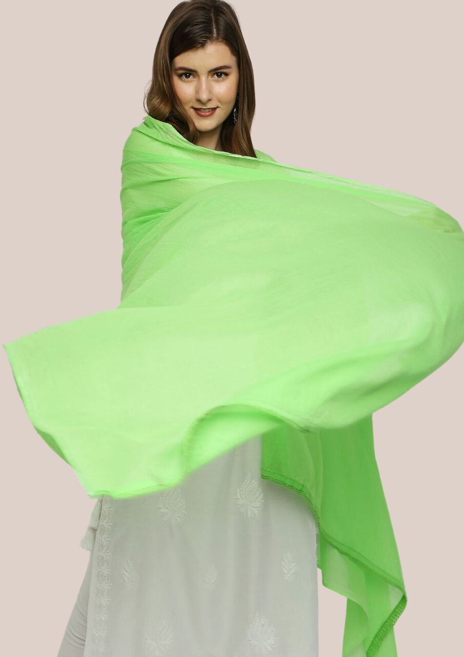 Pure Cotton Dupatta