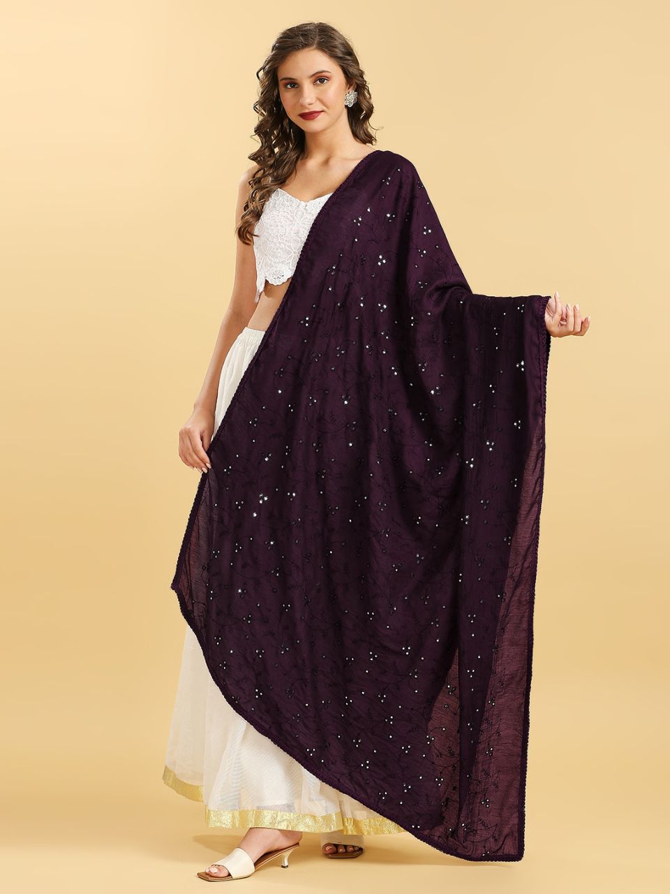 Chanderi Cotton Embroidered Dupatta with Mirror Work.
